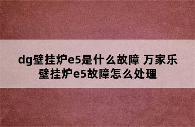 dg壁挂炉e5是什么故障 万家乐壁挂炉e5故障怎么处理